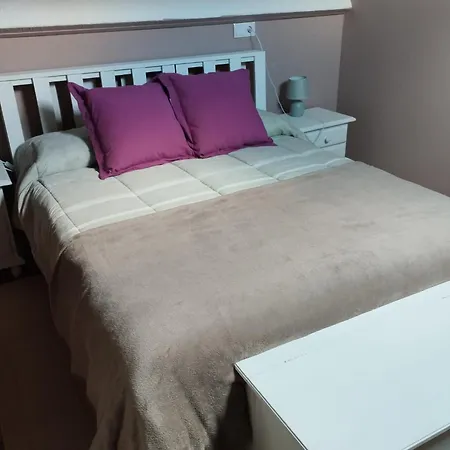 Casa Elvi 度假居 *