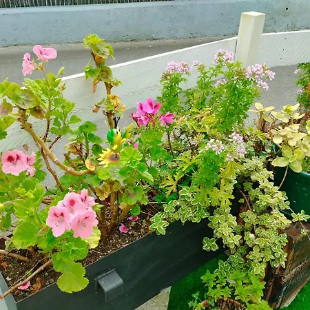 Casa Elvi Holiday home Gijon